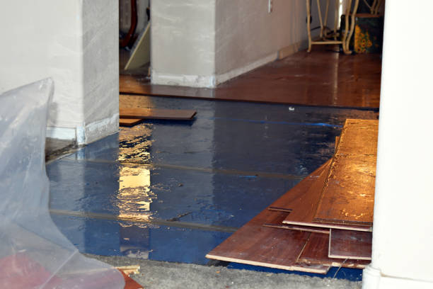 Professional Sewage Cleanup technician working in Frederic, MI
